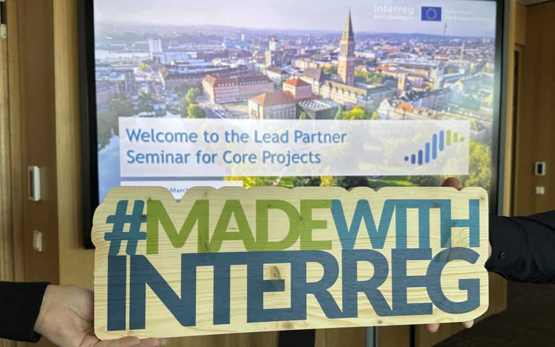 EasyEnergy Project Showcases Transnational Project Management and Cooperation at Interreg BSR Lead Partner Seminar