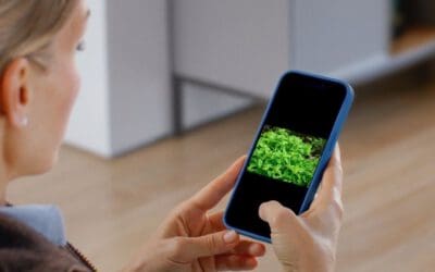 Can plants send warning signals? Thanks to PlutoF – a powerful biodiversity tracking tool – the answer is yes!