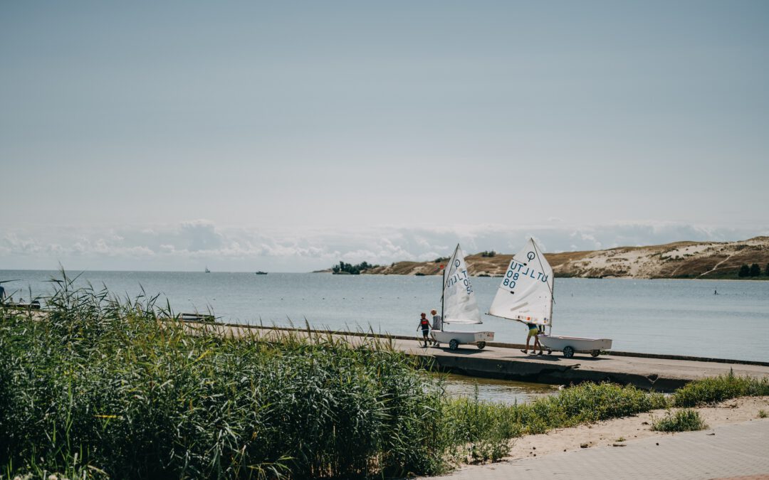 Summer 2025 Newsletter is now out