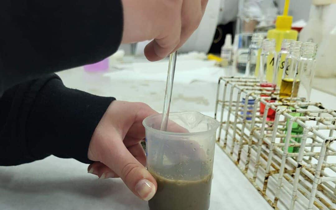 100 Polish Students Learn About Gypsum in Agriculture