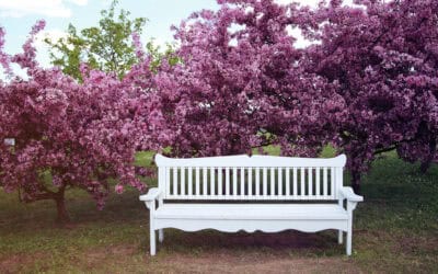 Connecting Science and Society: An Interview with Inese Ebele on the “Interactive Gardens” Project