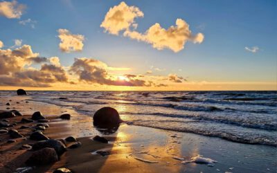 NURSECOAST-II contributing to to the EU Bioeconomy Strategy consultation