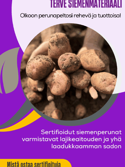 Information material of the advantages of certified seed potatoes is now available in Finnish
