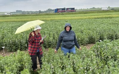 🎬Latvian partners visit Poland — the power of collaboration
