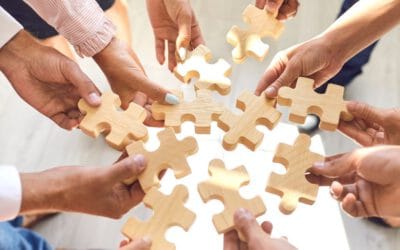 Stronger together – PestSpace partners