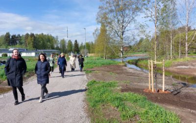 Five NBS pilot reports out