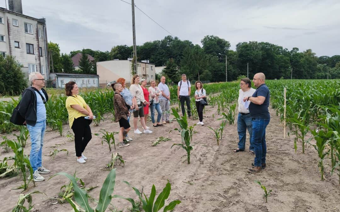 CiNURGi & FERTITEC Joint Field trip to Agricultural Experimental Station of the Institute of Soil Sciences and Plant Cultivation in Grabów