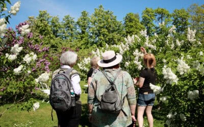 From the Scent of Lilacs to Solar Panels in a Cherry Orchard: The “Interactive Gardens” Project Inspires Through Masterclasses
