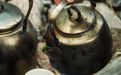 Light in the Dark: A Little Story About Big Ideas