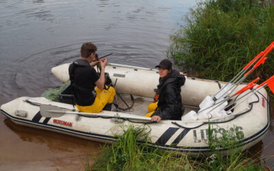 Final Fish Survey in Lake Velnezers