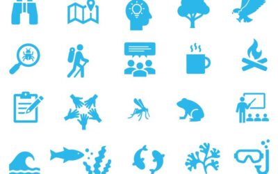 Upcoming activities at our Learning Sites