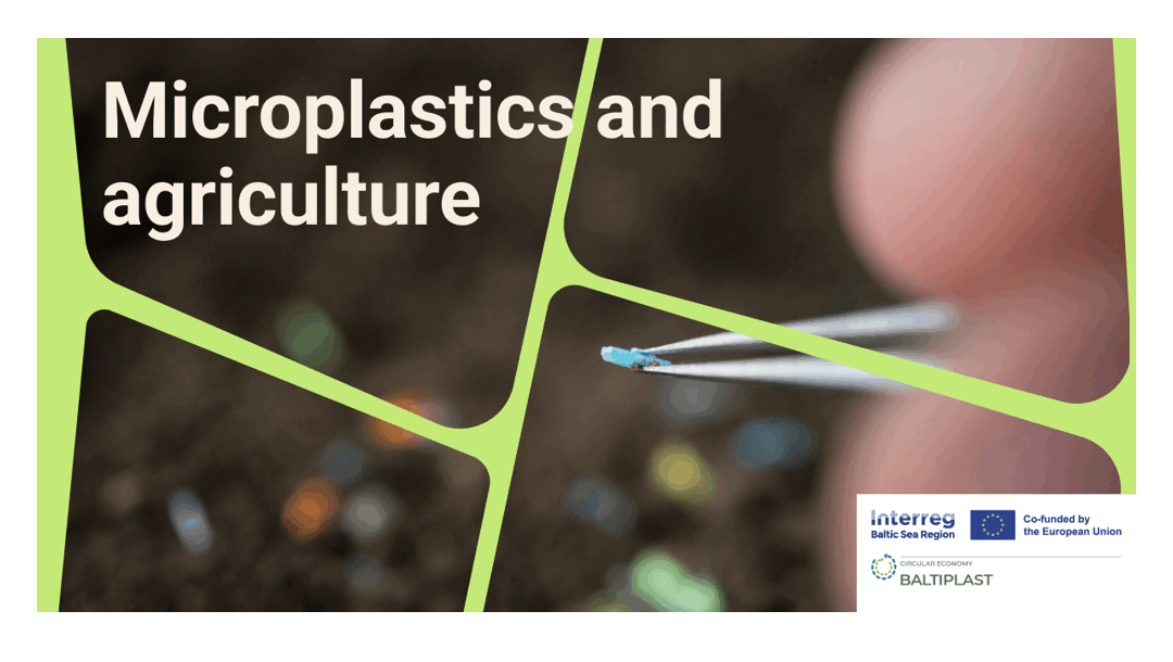 Microplastics Threaten Global Agriculture and Food Security