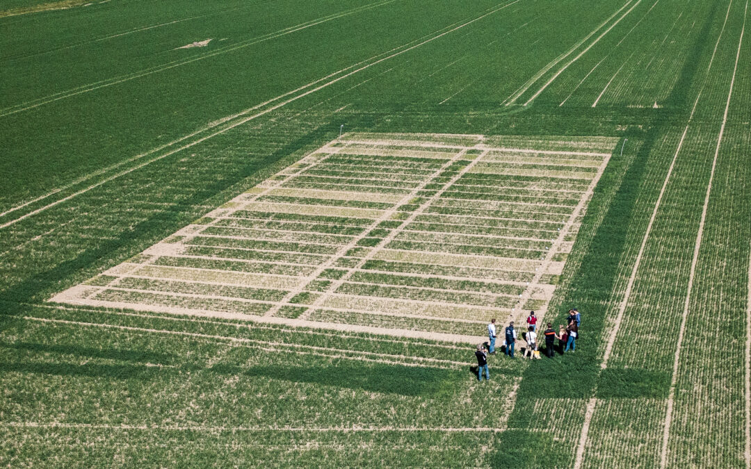 CiNURGi results showcased at Lanna Research Station, Sweden