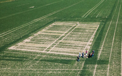 CiNURGi results showcased at Lanna Research Station, Sweden