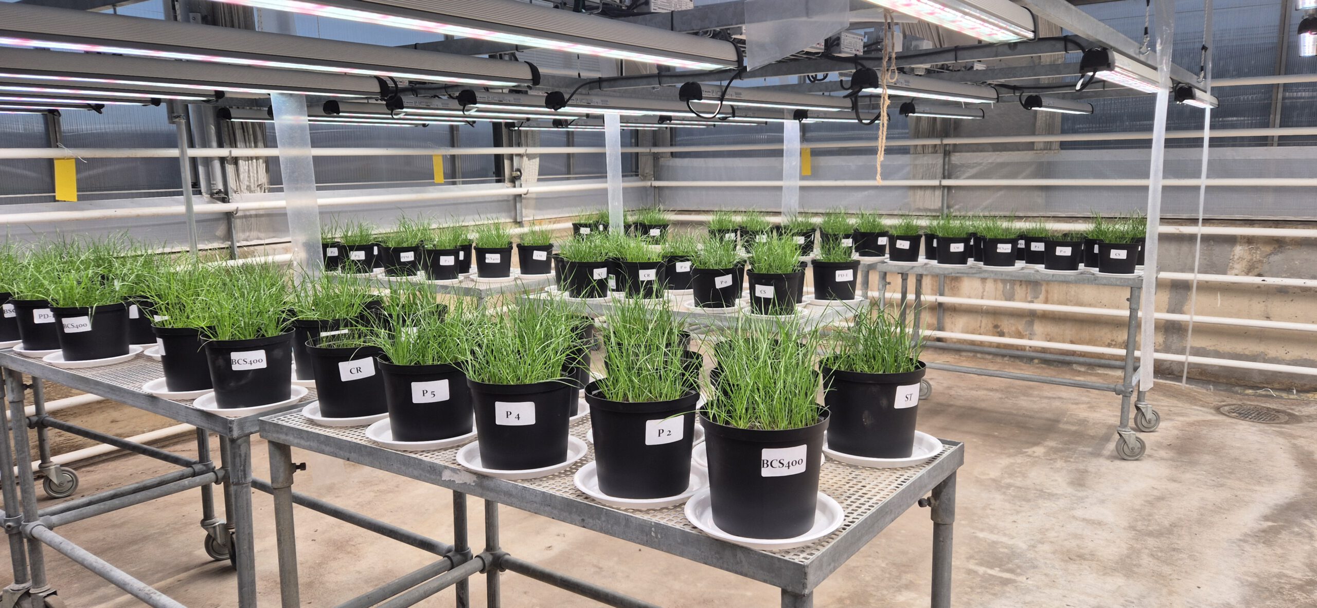 O. Valetska O. Valetska