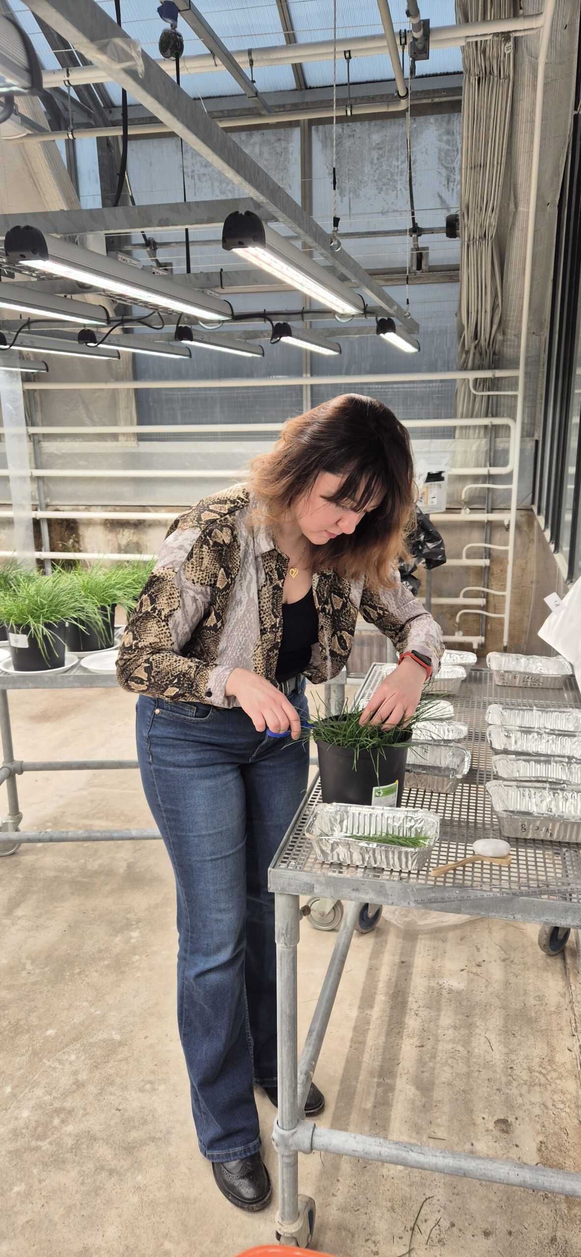 O. Valetska O. Valetska