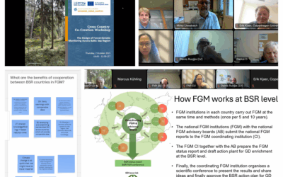 The DIVERSE_GENE_WATCH Cross-Country Workshop Connected the Baltic Sea Region Countries on Forest Genetic Monitoring