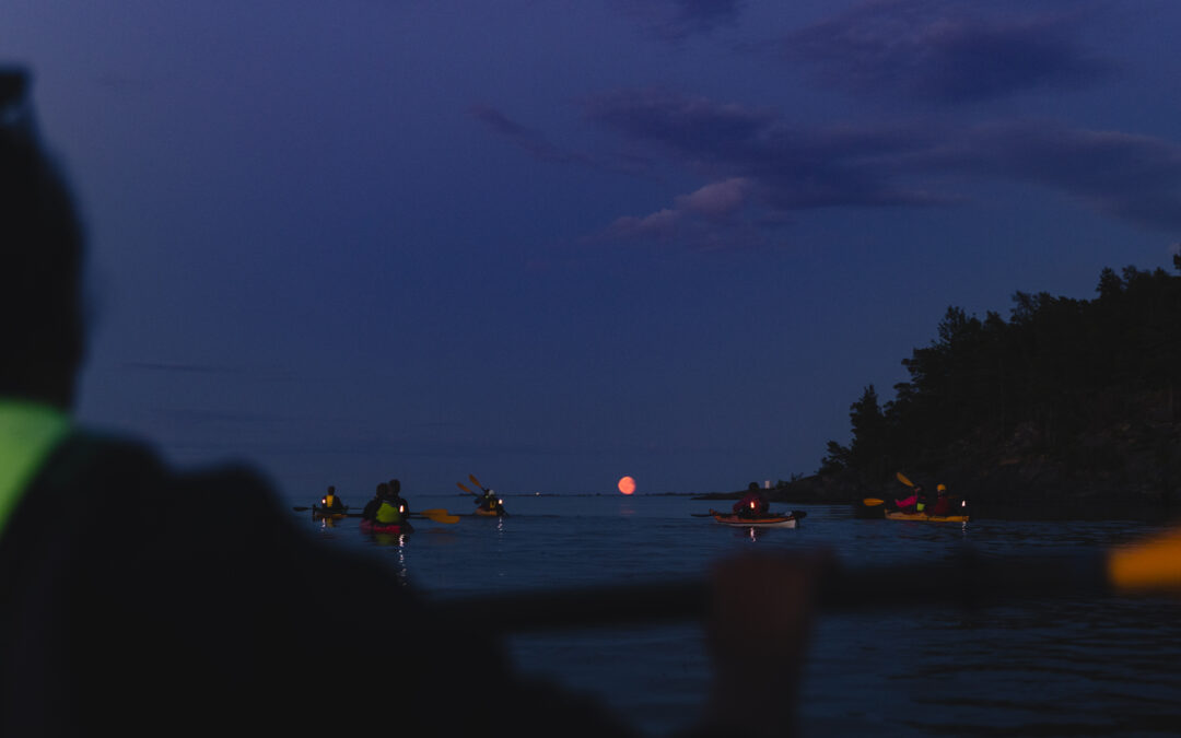 Paddling into the Dark: Reflections from the Moonlight Safari Pilot