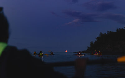 Paddling into the Dark: Reflections from the Moonlight Safari Pilot