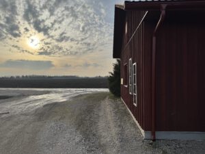 Sunset by the Meemeistrid Honey Farm