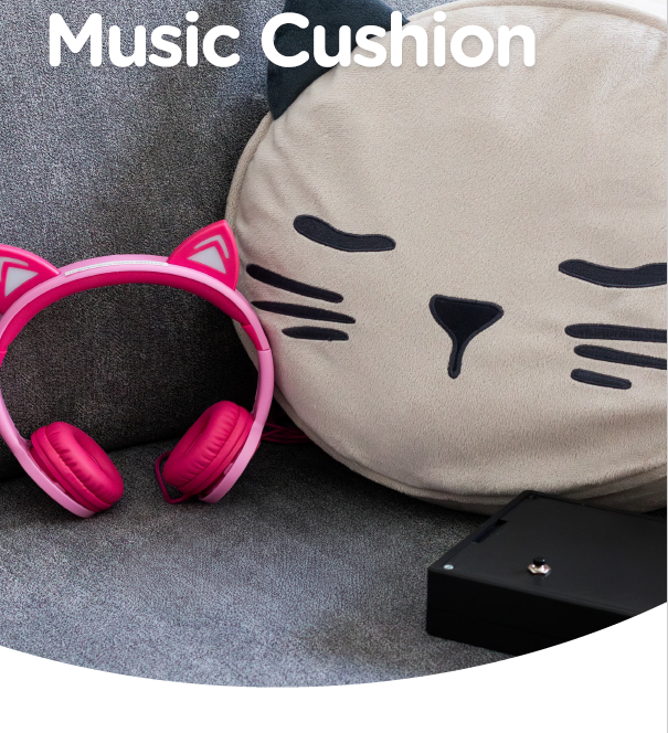 Materials for Music Cushion