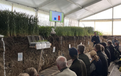 Soil in Focus: GYPREG at Agricultural Fairs in Sweden