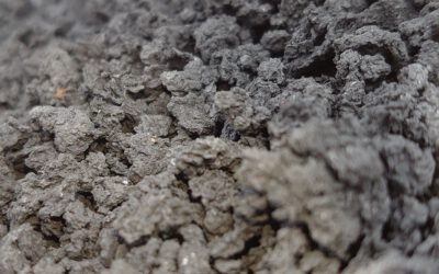 Biochar can help agriculture meet its climate targets – but getting it onto farmland remains a challenge