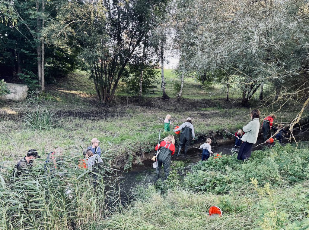 People in a stream electrofishing.