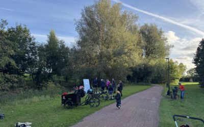 Life beneath the surface in Malmö