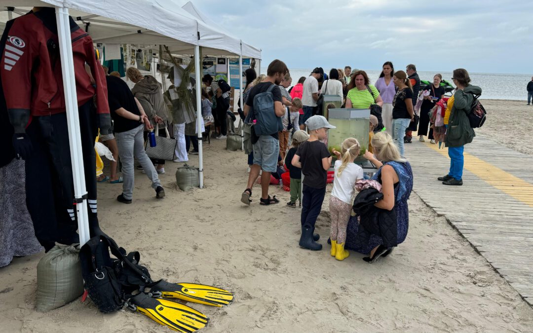 Gypsum in Action: Awareness-Raising Events in Latvia
