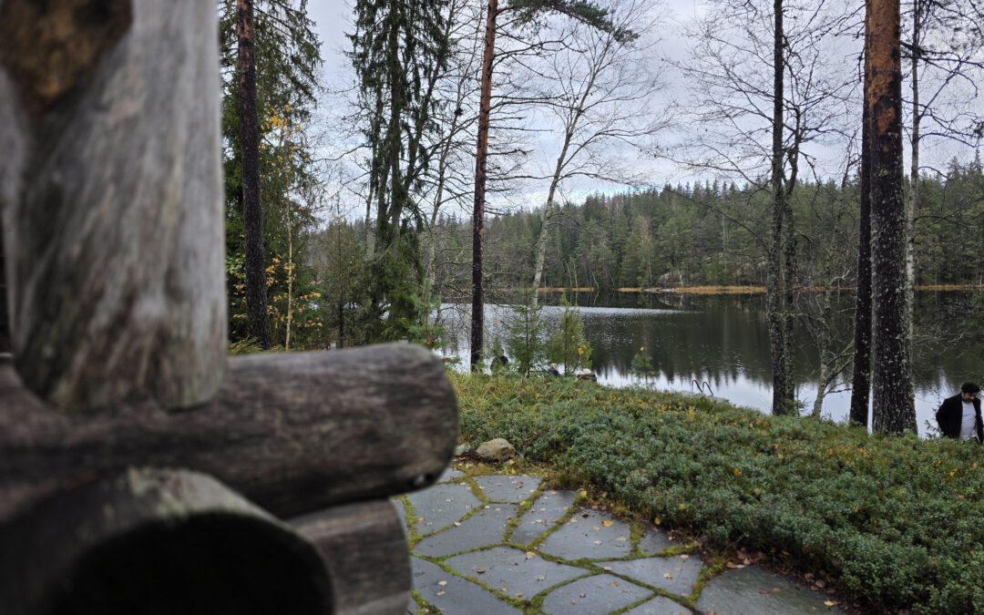 Hawkhill – An example of regenerative tourism