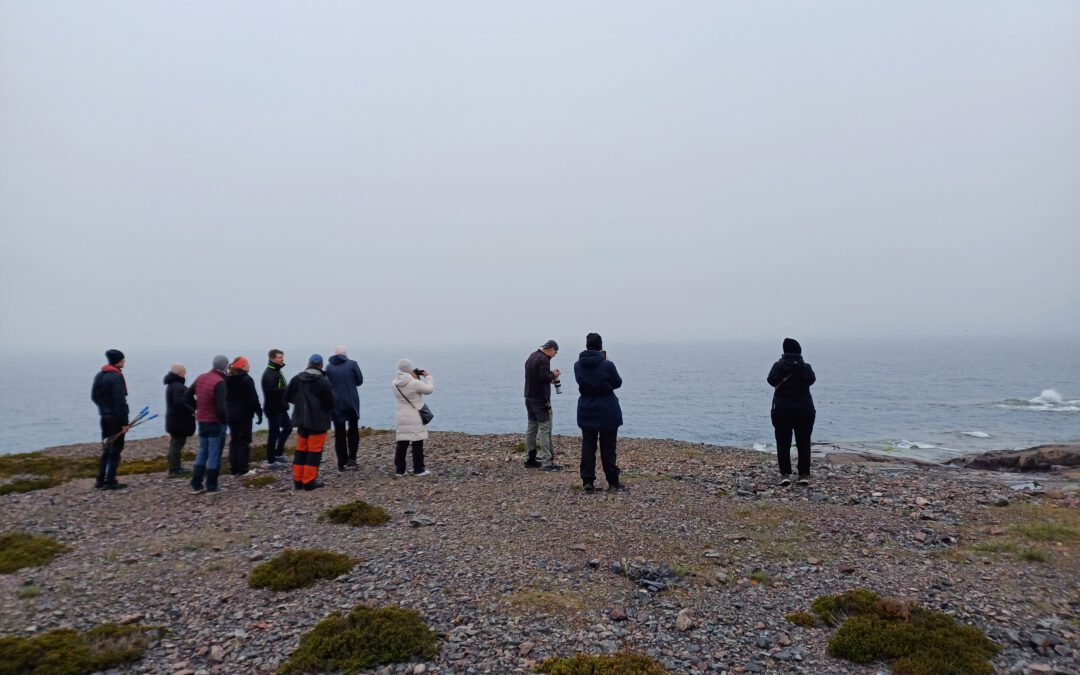 Shipland – The World of Eiders on Stora Båtskär