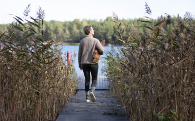 Authentic Finnish Seaside Sauna Experience with Accommodation