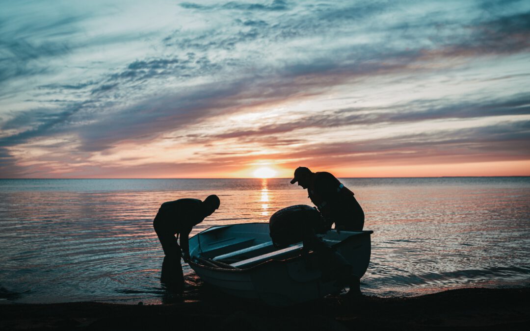 Autumn 2025 Newsletter is now out