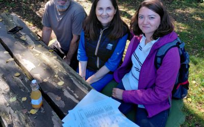 Kompostella Case Study: Testing a Methodology for e-Bio-Business Launching