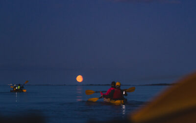 Moonlight Safari – Paddling in the Archipelago