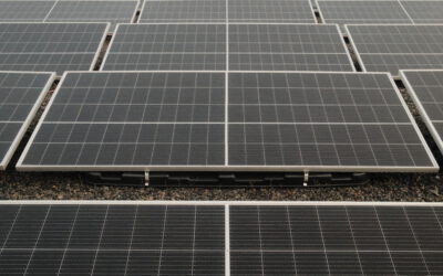 The Inspiration Continues: The Results of the Second Webinar