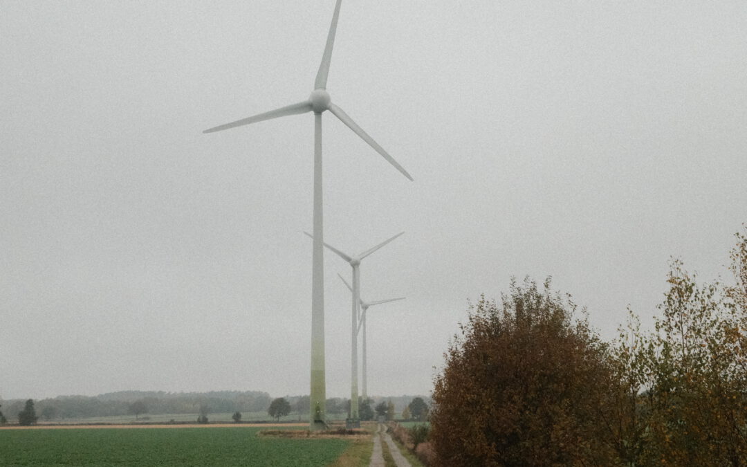 Enercracy Project Hosts Second Workshop on Municipal Climate Neutrality