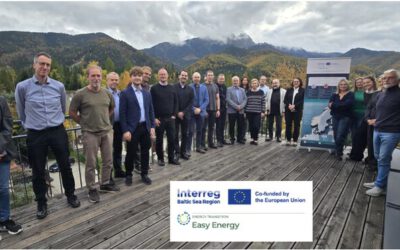 Easy Energy Practitioners Training in Zakopane, Poland