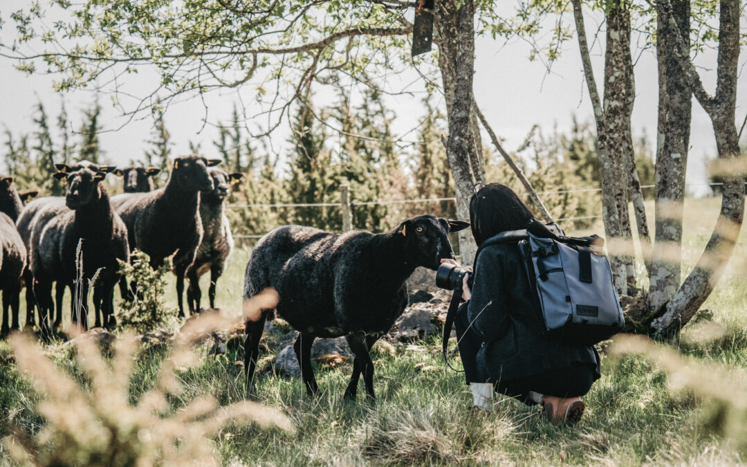 Handpick Your Adventure – HIIU GOURMET OÜ