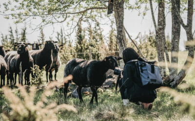 Handpick Your Adventure – HIIU GOURMET OÜ