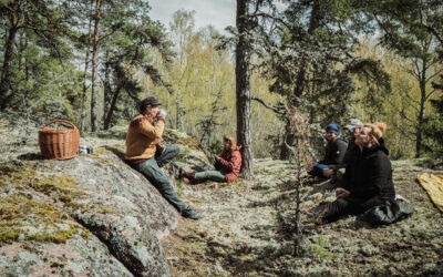 Archipelago Sea – Forest Bathing and Sauna Experience