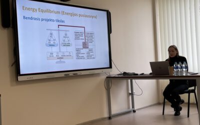 Seminar on “Planning Lithuania’s Energy Sector at the National and Municipal Levels”