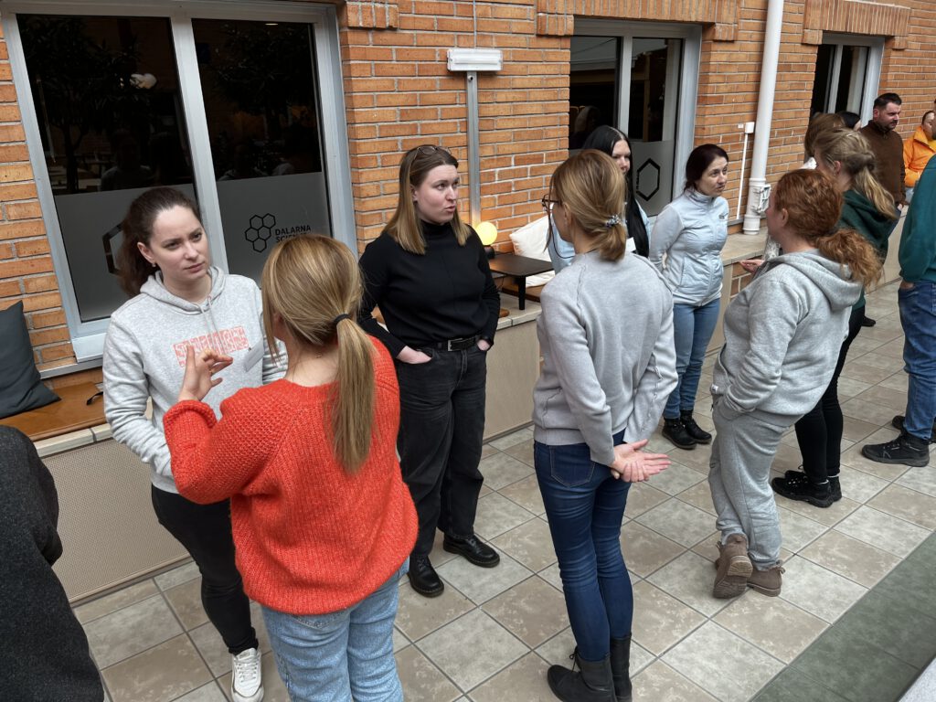 © Dalarna Science Park, 2024-2025.