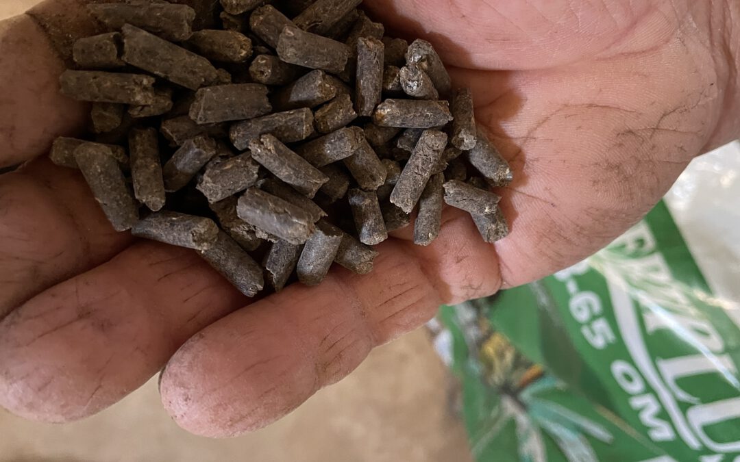 Market evaluation and the development of markets in recycled nutrients