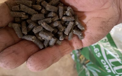 Market evaluation and the development of markets in recycled nutrients