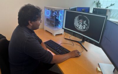 Pilot use case: Chronic pancreatitis