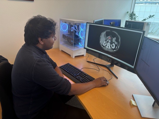 Pilot use case: Chronic pancreatitis