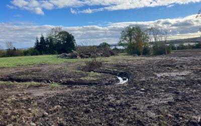 Restoring Bueris and Ravnbakke Streams in Aarhus