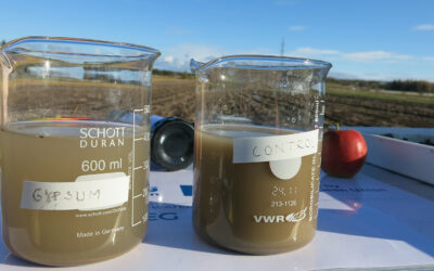 Gypsum Demonstrations in Åland Autumn 2025